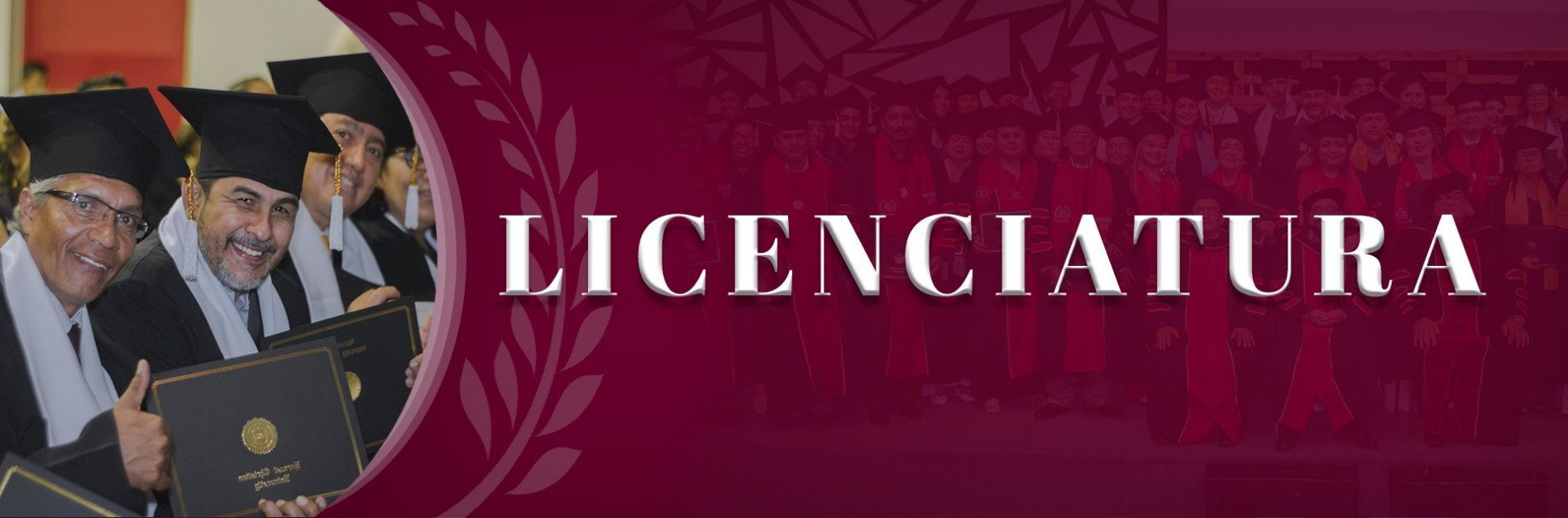 licenciatura